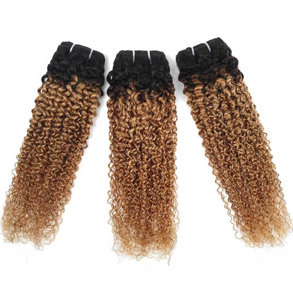 Mongolian Kinky Curly Human Hair