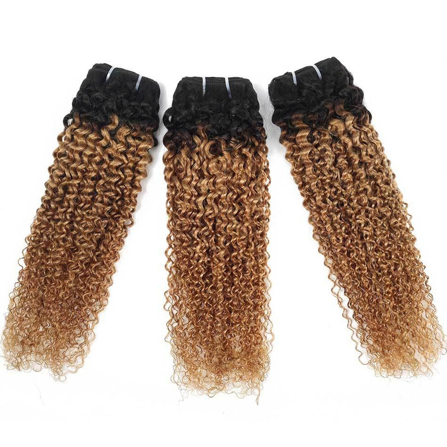 Mongolian Kinky Curly Human Hair