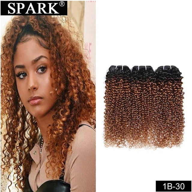 Mongolian Kinky Curly Human Hair