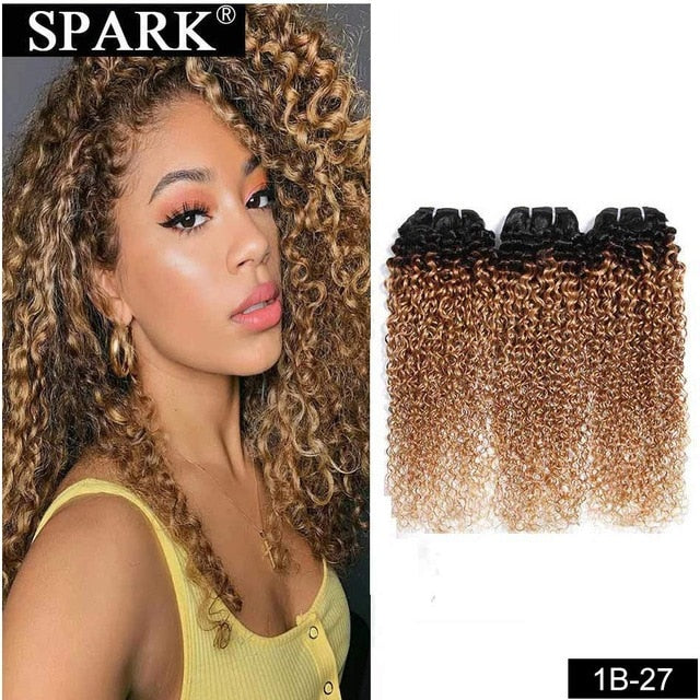 Mongolian Kinky Curly Human Hair