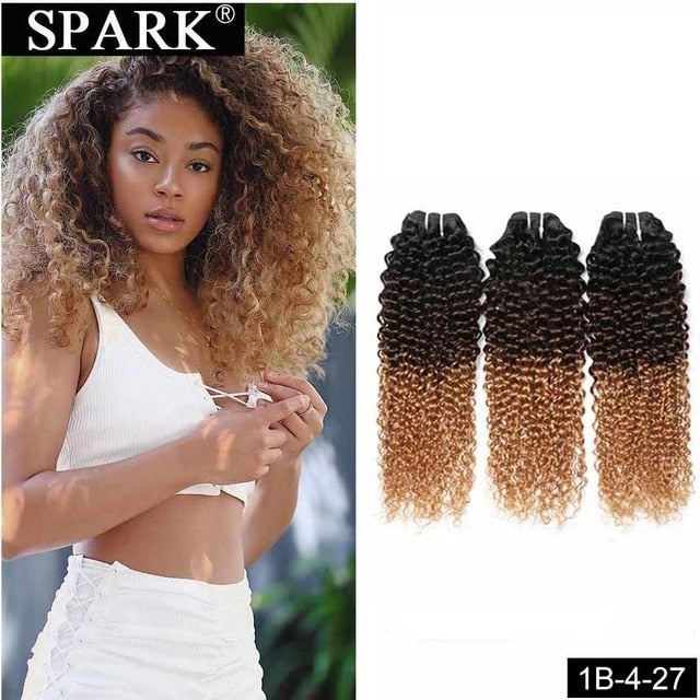 Mongolian Kinky Curly Human Hair