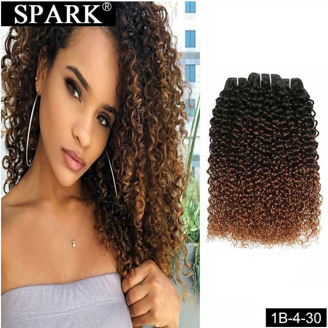 Mongolian Kinky Curly Human Hair