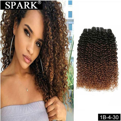 Mongolian Kinky Curly Human Hair